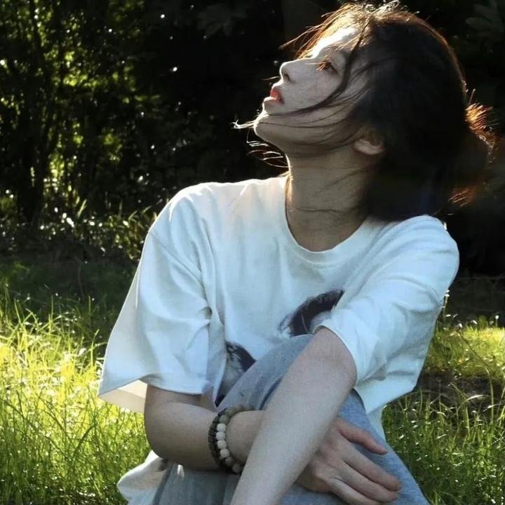 黑艳凤